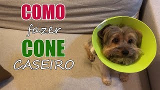 Como fazer um cone para cachorro ou gato não se lamber  Veterinária Explica [upl. by Aw]