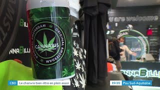 Gros succès pour les boutiques de vente de CBD [upl. by Ransom]