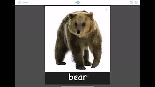 Flashcards for Kids  Mammals  Get more with the Bitsboard App [upl. by Htir396]