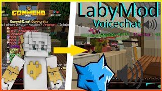 Wir geben einem GOMME MOD einen Anmachspruch 😂  LabyMod Voicechat Gommunity [upl. by Ensign]