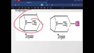 Pharmacogonsy tropane alkaloid [upl. by Sleinad]