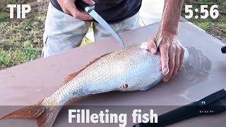 How to Fillet Fish [upl. by Glynas]