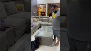 Rottweiler Bubzee Ne Liya Rahul Se Bada Panga shorts dogs rottweiler trending trendingshorts [upl. by Peder6]