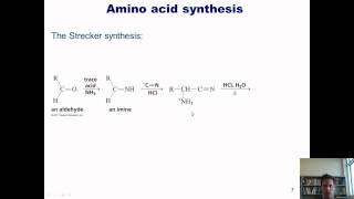 Chapter 23 – Protein Chemistry Part 3 of 4 [upl. by Case162]