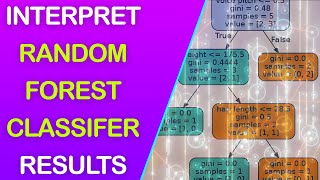 Explain Visualize Explain Random Forest Classifier Results with Python [upl. by Annil]