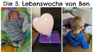 Kindergeburtstag Brüder amp Fussabdruck I 5 Woche I BirdieTV [upl. by Etnuahs]