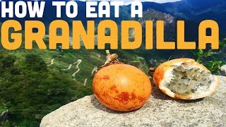 HOW TO EAT GRANADILLA [upl. by Naujad574]