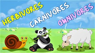 Herbivores Carnivores and Omnivores for kids  Animals Eating Habits with example [upl. by Schaffel]