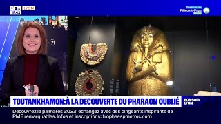 Toutankhamon  à la découverte du pharaon oublié [upl. by Aihsaei156]