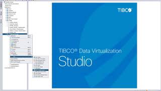 TIBCO Data Virtualization in Energy [upl. by Nadean]