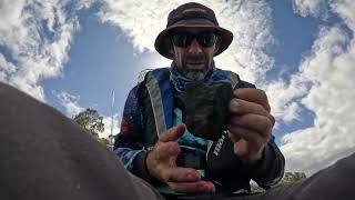 Lake Wivenhoe Fishing Branch Creek tilapia pestfishing [upl. by Annhej]