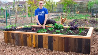 How to Build a RAISED BED Using PALLETS FREE Backyard Gardening [upl. by Theresina]