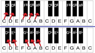 Sharps and Flats Explained  Piano Lessons For Beginners [upl. by Anigroeg]