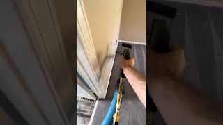 Steam cleaning old pet stains and dirty carpet with 870hp Everest [upl. by Yeliak663]