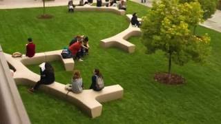 California State University Long Beach  5 Things You Must Do On Campus [upl. by Elletsyrk815]