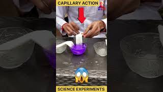 capillary rise class 11 physics  experiment science physics scienceexperiment [upl. by Sinnaiy609]