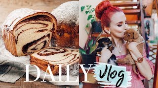 Daily vlog  Cei mai pufosi catelusi si cei mai pufosi cozonaci ♥ Buzau de Paste [upl. by Laurence275]