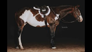 SOLD  AFFORDABLE APHAAQHA ALLAROUND [upl. by Neill]