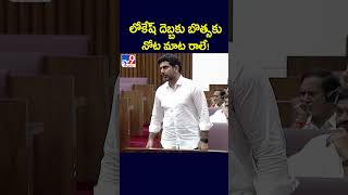 లోకేష్ దెబ్బకు బొత్సకు నోట మాట రాలే  Minister Lokesh Fires on YCP Leaders  TV9 [upl. by Dercy]