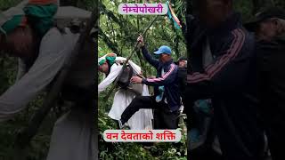 नेम्वचेपोखरी वन देवताको शक्ति shorts nemchepokhari viralvideo godpower views [upl. by Ultun]