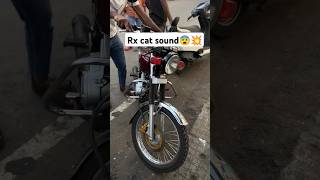 Rx cat sound 😨💥 subscribeyoutubeshorts viralvideoshortvideoshortslovebike [upl. by Nilad]