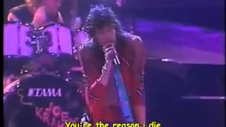 Aerosmith Angel Live Lyrics Legendado em Inglês [upl. by Jegar946]