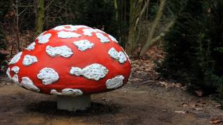 Sprookjesbos  Paddenstoelen  Menuet in G  Efteling Melodieën [upl. by Akinorev]