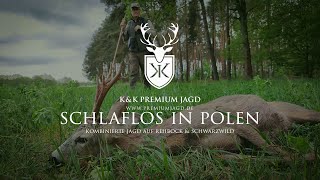 SCHLAFLOS IN POLEN  Kombinierte Jagd 🦌 auf Rehbock amp Schwarzwild 🐗 Nachtjagd auf Sauen [upl. by Lesli]