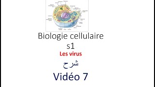 biologie cellulaire s1 vidéo 07  Les virus شرح [upl. by Adriena63]