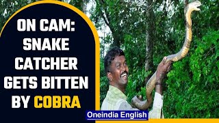 Famous snake catcher Vava Suresh gets bitten by a cobra gets hospitalised  OneIndia News [upl. by Joellen870]