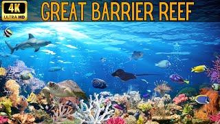 Great Barrier Reef A Natural Wonder of Beauty [upl. by Bord867]