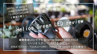 植物育成LEDライト【Helios Green LED HG24（ヘリオスグリーンLED】レビュー｜AMATERAS・TSUKUYOMI・HASU 38 spec9との比較あり [upl. by Ardnaxila657]