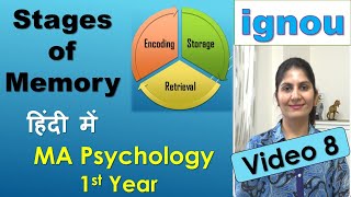 Different Stages of Memory Encoding Storage Retrieval Cognitive Psychology in Hindi Monica Josan [upl. by Aicirtan516]