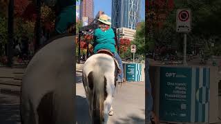 Calgary Stampede shortfeed shortvideo shorts lakadnicoaya [upl. by Lyrac]