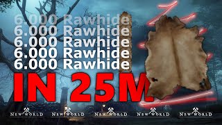 New World The Best 6000 in 25m Rawhide Farming Location  By Lustie [upl. by Leasa]