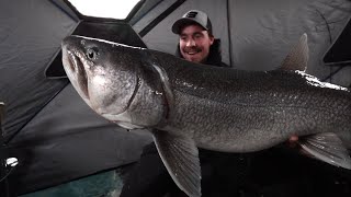 The Ultimate Winter Camping Adventure Trophy Lake Trout Part 2 [upl. by Nesmat]