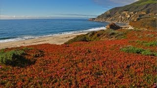 quotThe California Coastquot w Music 1 HR HEALING Nature Relaxation Video w Music 1080p [upl. by Oecile735]