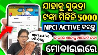 5 ହଜାର ଆସିନି NPCI Active କରନ୍ତୁ 24 ଘଣ୍ଟା ପରେ ଟଙ୍କା ଆସିବ  How To Activate DBT Online Step by Step [upl. by Adriena]