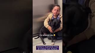 Cachorro Acalmando Crise de Criança Com Autismo [upl. by Eicyak]