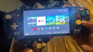 Doyoky Nintendo Switch controller unboxing [upl. by Evod]