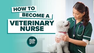 How to become a Veterinary Nurse [upl. by Selby]