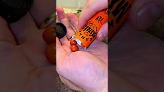 Edible Review by a Dispensary Manager  Trying Out Kanhas Ratioed THC Infused Candy [upl. by Marguerite510]