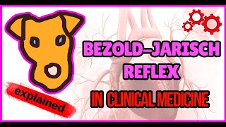 Bezold–Jarisch Reflex in Clinical Medicine [upl. by Senzer]