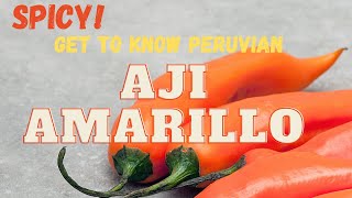 Spicy Get to Know the Peruvian Aji Amarillo [upl. by Anaujat]