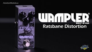 Wampler Ratsbane Distortion Pedal  AmericanMusicalcom [upl. by Lachance136]