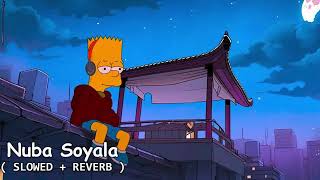 Numba Soyala  Vidula Ravishara  SLOWED  REVERB [upl. by Ford]