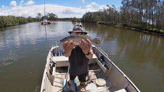 FISHING CABOOLTURE RIVER 13TH JANUARY 2023 [upl. by Osnofedli281]