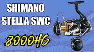 Shimano STLSW8000HGC 2019 Stella SWC Spinning Reel Review  JampH Tackle [upl. by Stevena476]