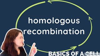 HOMOLOGOUS RECOMBINATION  in ENGLISH [upl. by Atineb]