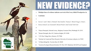 NEW Ivorybilled Woodpecker quotEvidencequot Is it Conclusive [upl. by Lrat]